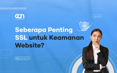 SEBERAPA PENTING SSL UNTUK KEAMANAN WEBSITE?